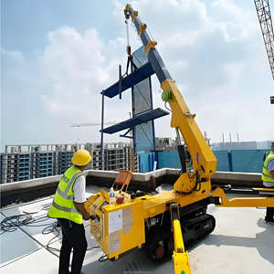 Grúas Araña <span class=keywords><strong>M</strong></span>óviles de Alta Calidad en Oferta, Mini Grúa con Certificado CE - Product Image 5