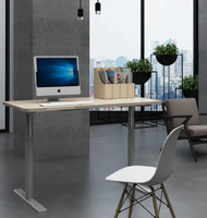 Bureau de travail moderne en fer pour e-sport, ergonomique, réglable en hauteur électriquement, table assis-debout, usage commercial, 1 à 5 ans