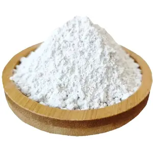 Calcium Hydroxide / Hydrated Lime Powder Best Manufacturer Hongyu With Low Price