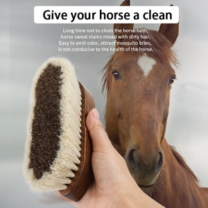 <span class=keywords><strong>Brosse</strong></span> de <span class=keywords><strong>cheval</strong></span> d'équipement de toilettage en bois de crin de <span class=keywords><strong>cheval</strong></span> de logo personnalisé en gros d'usine - Product Image 6