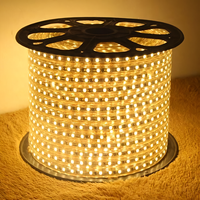 Bande LED SMD 5050 RGB haute tension 110V/220V, 60 LED/m, 14,4W/m, IP65, extérieur, dimmable, 3000K/4000K/6000K, 50m/rouleau
