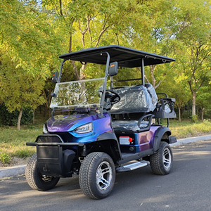 Carrito de Golf Eléctrico 4X4 en Oferta, Entrega Rápida, Económico, de 2/4/6/8 Plazas - Product Image 2