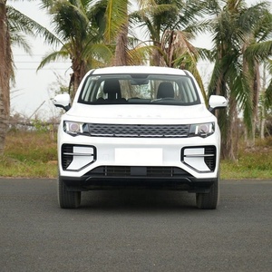 Véhicule utilitaire électrique chinois en promotion : RD King Kong Long Range 4x4 Rada - Product Image 3