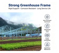 Serre agricole intelligente à structure galvanisée à travée unique, tunnel de serre pour fraises et plantes tropicales à vendre