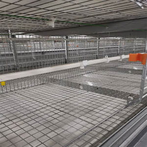 Allevamento di pollame zincato Brooder Brooder Egg posa gabbia a strati di pollo in vendita - Product Image 6