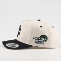 Casquette de Baseball Bicolore (Noir et Vert) Personnalisée de Bonne Qualité, en Daim, 5 Panneaux, Visière Courbée, Type Snapback, avec Étiquette en Sève, Chapeau Noir