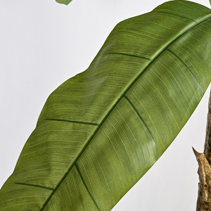 <span class=keywords><strong>Albero</strong></span> di Banana artificiale alto 270cm con finto <span class=keywords><strong>albero</strong></span> realistico <span class=keywords><strong>corteccia</strong></span> di <span class=keywords><strong>albero</strong></span> finto finto finto finto vaso in vaso per la decorazione di casa modello Hotel - Product Image 2