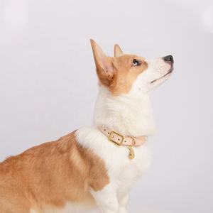 하이 퀄리티 중국 공급 업체 사치와 패션 맞춤형 디자이너 가죽 면 견인 면 애완 동물 개 목걸이 - Product Image 5