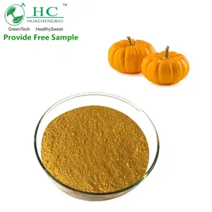 Water Soluble Pure Pumpkin Fruit Extract Pumpkin Extract Powder
