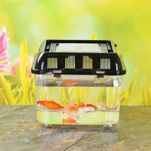OWNSWING Fish Tank Baby Turtle Tank Petit aquarium Conteneur de poissons Coffre-fort d'élevage de reptiles - Product Image 1