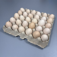 Plateau d'oeufs en pâte de papier brun naturel personnalisé en usine 30 œufs support de remplissage d'oeufs de poule biodégradable en vrac moule Agriculture
