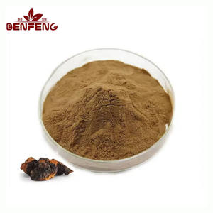 순수 천연 차가버섯 추출물 분말 식품 등급 차가버섯 추출물 - Product Image 1