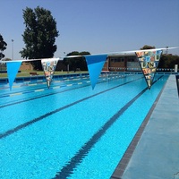 Drapeaux de piscine personnalisés en vinyle couleur pleine pour l'extérieur, drapeaux de dosage et guirlandes de fanions pour événements sportifs