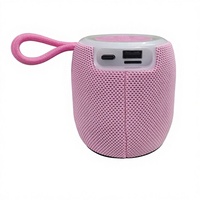Haut-parleur portable sans fil Bluetooth avec radio FM 5W, lumière LED RGB personnalisable, pour camping et extérieur, avec lecteur de carte audio