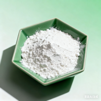 Chaux Calcaire en Poudre de Qualité Supérieure HONGYU de Grade Industriel Pureté 90%-99,5% 325 Mesh pour le Traitement des Eaux Usées Sacs de 25kg