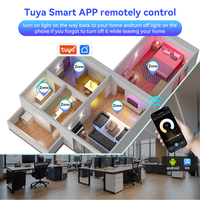 2in1 Tuya WIFI Control LED Gradateur pour bande LED CCT couleur unique