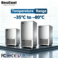 Congélateur rapide commercial certifié CE à dégivrage automatique -35°C ℃   à -80 ℃   260L pour usine de transformation de crevettes et usine de fabrication de tourtes à la viande