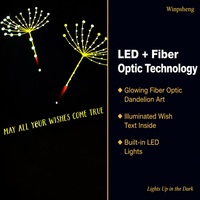 Carte d'anniversaire WINPSHENG avec lumière LED, fibre optique, pissenlit, cartes de vœux modernes pour anniversaire