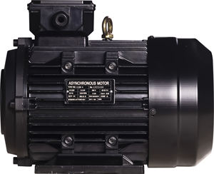 उच्च दबाव वॉशर ठोस शाफ्ट इलेक्ट्रिक मोटर तीन चरण 910 आरपीएम 6 पोल वाटरप्रूफ 0.55 किलोवाट - Product Image 1