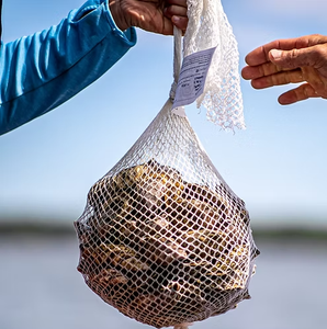 Rete per Frutti di Mare e Prodotti del Mare - Product Image 1
