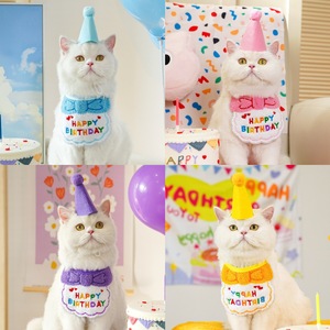 Chapeaux d'anniversaire, bavoirs, écharpes, chapeaux pour chiens et chats, accessoires à thème animalier, dignes d'un Instagram, produits e-commerce transfrontalier - Product Image 1