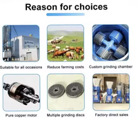 Machine à Granulés de Diesel pour Aliments du Bétail à Moteur, Haute Capacité, Fabrication d'Aliments, Usage Agricole et Domestique, pour Porcs et Bovins