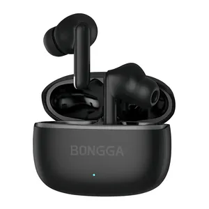 Low MOQ high quality true wireless WTS noise cancelling Bongga HH 01 earbuds