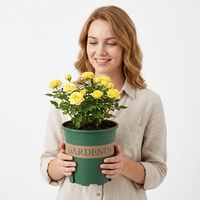 Pots en plastique PP fabriqués en Chine, pour plantes de jardin, intérieur/extérieur, pots à fleurs pour sol, trou de drainage, durables, légers, luxueux, contemporains
