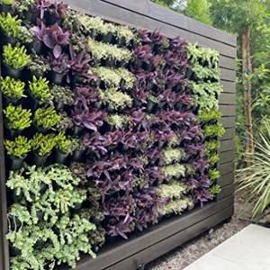 Jardinera Vertical con Sistema de Riego Automático para Jardinería Interior y Exterior, para Hierbas, Vegetales y Flores - Product Image 2