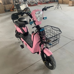 Bicicleta Eléctrica de Carga para Adultos, 750W, 48V, 20 Pulgadas, Bicicleta Eléctrica Utilitaria Resistente con Gran Portaequipajes Trasero - Product Image 4