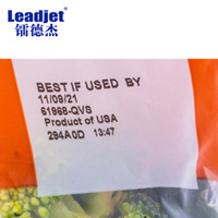 Imprimante jet d'encre Leadjet R32 Type 300 DPI TTO pour le codage de la date de péremption des produits laitiers