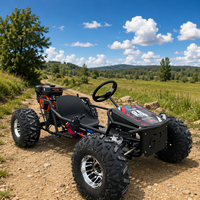 Go Kart de Gasolina de Alta Velocidad de 212cc, Buggy de Carreras Todoterreno para Adultos con Volante, Llantas de 10 Pulgadas, Buggy Monoplaza de 4 Tiempos