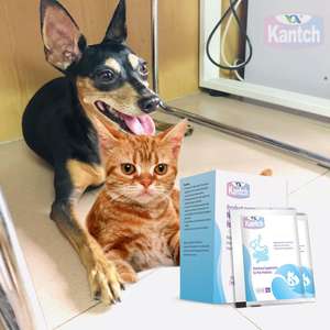 Réguler l'estomac améliorer l'appétit marque privée chien chat probiotiques suppléments nutritionnels - Product Image 5