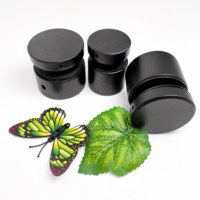Penyangga Kaca Satin Brushed dari Baja Tahan Karat dengan Lapisan Satin Premium, Tutup Sekrup, Pelat Hitam untuk Pemasangan Railing Kaca Treasury