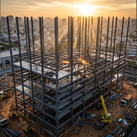 定制高层钢结构住宅现代钢架公寓专业制造商建筑公司