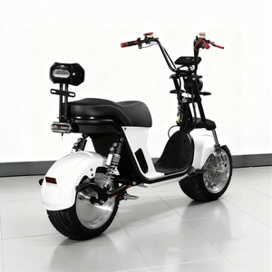Venta Directa de Fábrica: Scooters Eléctricos con Neumáticos Anchos de Alta Gama y Baterías de Alta Calidad - Product Image 5