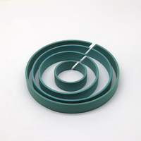 Spécialisée dans les bandes de guidage en Ptfe remplies de bronze 40% Bagues de guidage Résine phénolique Bagues d'usure de cylindre hydraulique Wr