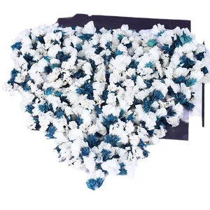 Venta al por mayor de fábrica: Capullos de flores secas blancos y morados, estatua de la memoria preservada, olvido de mi, para manualidades DIY, fiestas, bodas y confeti. - Product Image 2