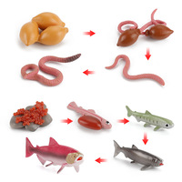 Modèle de Simulation du Cycle de la croissance des animaux, grenouille, tortue, moustique, coq, coq, Animal cognitif, jouet