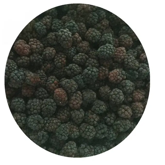 Organic IQF Frozen Blackberries: Bulk Wholesale Pulp do fornecedor chinês