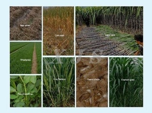 Chaff Cutter được sử dụng để cắt khô và ướt Crop rơm và đồng cỏ để nuôi gia súc cừu ngựa hươu và thỏ - Product Image 6