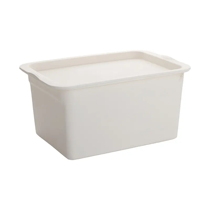 Home Appliance 5L Multipurpose Plastic Storage Box for Bedroom