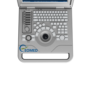 Mesin Doppler troli termurah, pemindai sonografi Laptop hitam & putih, dokter hewan BW70A - Product Image 4