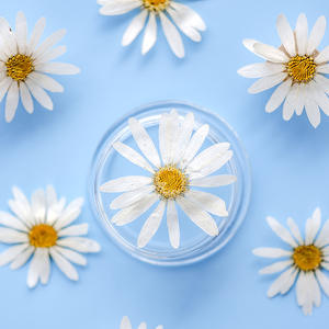 Marsey — Scrapbooking en résine époxy, résine naturelle, écologique, vraies fleurs pressées, DIY bricolage - Product Image 6