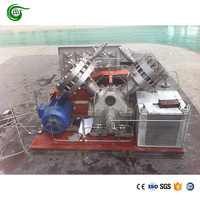 Compresor de Diafragma de Helio (He) de Alta Pureza y Capacidad, Flujo de 250 Nm3/h, Entrada de 15 Bares, Salida de 50 Bares, Compresor Industrial