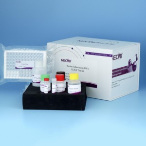Bò bệnh lao IFN-Y Elisa Kit | 96t gia súc TB Kit chẩn đoán | CE chứng nhận thú y kiểm tra - Product Image 1