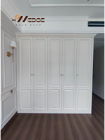 Armoire moderne de luxe personnalisée Portes en MDF avec peinture et panneaux de forme spéciale pour hôtels et bureaux à domicile