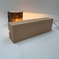 Lampe de nuit LED acrylique effet 3D 5V interrupteur production d'énergie rechargeable abat-jour vers le haut lampe de table à base en bois-rectangle moyen