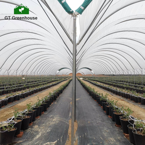Good Quality <strong>Poly</strong> Tunnel Green House Low Cost Hot Sale Polytunnel Berry <strong>Greenhouse</strong> - Product Image 2
