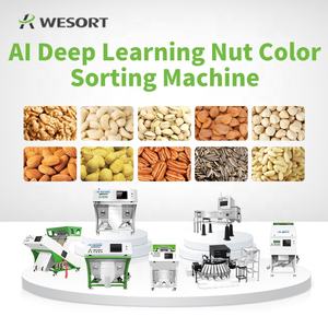 For 5-Channel <strong>Infrared</strong> Sorter For Nuts Soybean Corn Engine-Powered AI-Powered Spectral Analysis Detects Internal Defects - Product Image 5